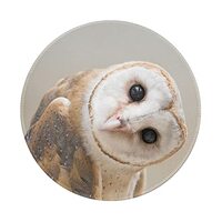 Cute Owl Round Mouse Pad, Small Mouse Pads for Desk with Stitched Edge, Gaming Mouse Pad Non Slip Ru