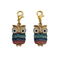 2pcs in Set Colorful Owl Clip on Charm for Diy Necklace Bracelet, Bags Zipper Pull, Cute Cartoon Jew