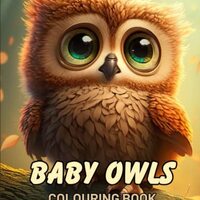 Baby Owl Colouring Book: Fantasy Baby Owl Colouring Book for Adults