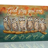 Farmhouse Funny Owl Decor Wall Art Rustic Owl God Says You Are Christian Religion Animals Pictures W