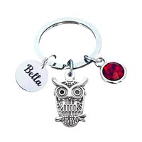 Personalized Owl Gift, Custom Engraved Owl Keychain with Birthstone, Owl Jewelry Gift for Men &