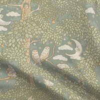 Spoonflower Fabric - Owl and Pussycat Fairy Tale Fantasy Night Sky Moon Stars Printed on Petal Signa