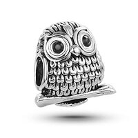 KunBead Blue Owl Love Bead Charms Compatible with Pandora Charm Bracelets Birthday Jewelry for Women