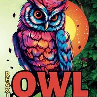 Owl Coloring Book: Beautiful Designs Relaxation and Stress Relief with Large Size 8.5x11 Inches 94 P
