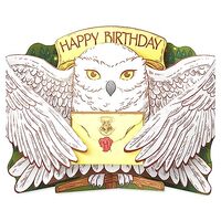 American Greetings Pop Up Harry Potter Hedwig Birthday Card, Fun Secret Birthday Note Included (Fill