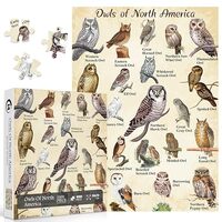 Owl Puzzles for Adults 1000 Pieces, Bird Animal Jigsaw Puzzle Features 21 Famous Owls of North Ameri