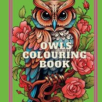 Large Print Owl Colouring Book: Stress Relief Book