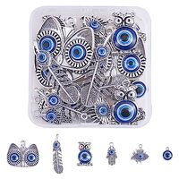 COGCHARGER 30 Pieces Tibetan Evil Eye Charms Owl Feather Hand Enamel Pendants Antique Silver Evil Ey