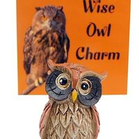 Westmon Works Wise Owl Charm Legend Pocket Tiny Trinket Set with Symbol of Wisdom and Protection wit