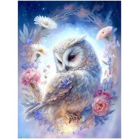 OWL Cross Stitch Stamped Kits for Adults Beginners-Cross Stitch Bag Beginner Adult Pattern Size Embr