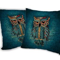 SKYDAWNY Blue Owl Cartoon Throw Pillow Covers 18x18 in Set of 2, Pillow Cases Decorative Square Pill