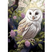 MXJSUA DIY 5D White Owl Diamond Art Painting Kits for Adults Beginners,Animal Diamond Art Kit,Full R