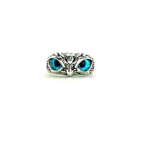 ASTROGHAR Fengshui Owl Protection And Good Luck Charm Blue Ring Amulet For Men And Women, free, Meta