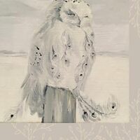 Snowy Owl Journal