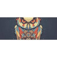 DNOVING 2 Rolls Abstract owl Birthday Wrapping Paper - 58 x 23 inch Gift Wrapping Paper for Boys &am