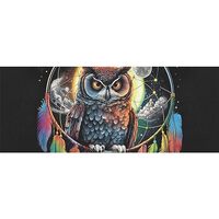 DNOVING 2 Rolls Owl dream catcher Birthday Wrapping Paper - 58 x 23 inch Gift Wrapping Paper for Boy