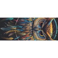 DNOVING 2 Rolls Owl dream catcher Birthday Wrapping Paper - 58 x 23 inch Gift Wrapping Paper for Kid