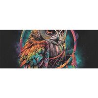 DNOVING 2 Rolls Owl dream catcher Birthday Wrapping Paper - 58 x 23 inch Gift Wrapping Paper for Kid