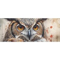 DNOVING 2 Rolls Owl Birthday Wrapping Paper - 58 x 23 inch Gift Wrapping Paper for Kids Birthday &am