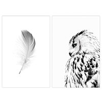 FEOFTIE Owl Wall Decor Animal Posters Black and White Wall Art Feather Wall Decor Bird Wall Art for 