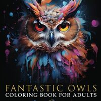 Relaxation Mandal Owls Coloring Book: Fantastic Large Print Owls Coloring Book For Adults | Birds Ar