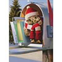 Avanti Press Cute Owl Wearing Red and White Hat and Scarf in Mailbox Cute Christmas Card