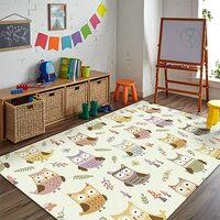 Cartoon Pattern Living Room Area Rugs, Cute Owl Children's Room Decoration Carpet, Low Pile Sof