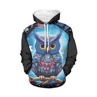 WELLFLYHOM Cartoon Owl Hoodie Sweatshirt Long Sleeve Drawstring Hoodies for Women with Pocket XL Gra