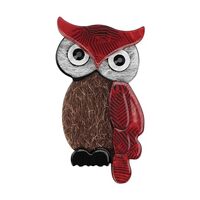 CAIRIAC Acrylic Owl Brooches and Pins for Women/Men, Owl Clothing Accessories, Owl Fashion Pins, Bro
