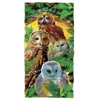 LOGOVISION JQ Licensing - RL-JP, 30"x60" Owl Collage Beach Towel