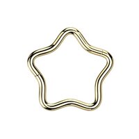 Pierced Owl 16GA F136 Implant Grade Titanium Star Shaped Hinged Segment Ring (8mm (5/16"), Gold
