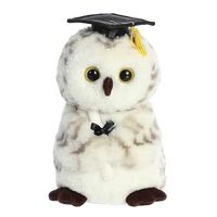 Aurora® Commemorative Graduation Smart Owl™ Stuffed Animal - Celebratory Keepsakes - Endea