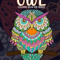 owl coloring book for adults: Owl Adult Coloring Easy Coloring Book For Seniors Teens And Adults