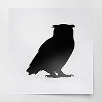 Decal Stickers of Owl 3 (Black) (Set of 2) Luxury Weatherproof Vinyl Decal Stickers for Laptop Deskt