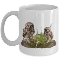 Burrowing Owls Coffee Cup, Owl Themed Gifts For Woman,Owl Mug, Owl Lovers Drinking Cup,