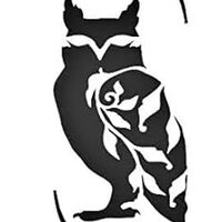 Owl Stencil 3x8 inch Sheet Template DIY for Airbrush Painting Drawing and More Reusable Stencil STEN