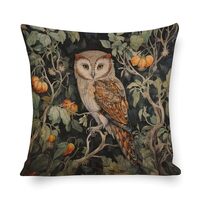 MaSiledy Decorative Throw Pillow Covers Animal Lovers Cushion Pillow Cover Wonderland Barn Owl Sofa 