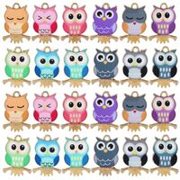 COGCHARGER 36Pcs Owl Charms Alloy Enamel Charms Cute Owl Charms Colorful Owl Charms for Jewelry Brac