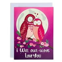 T4s Owl Couple Funny Birthday Cards for Women, Romantic Anniversary Card 6" x 8", Happy Bi