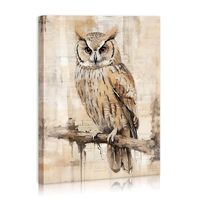 Owl Wall Art Watercolor Animals Owl Paintings Gold Feather Cute Bird Pictures Poster for Kids Room H