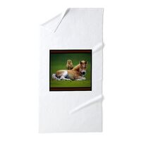 CafePress Colt with Owl 30"x60" Absorbent, Soft Beach Towel