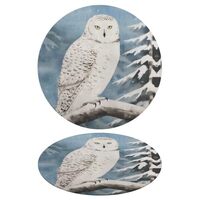 Snow Owl Carpet Rug Bath Rugs Bathroom Mats Soft Room Décor Shower Floor Living Room 90 * 90c