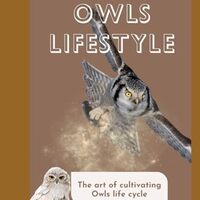 The Owls Lifestyle: The art of cultivating Owls life cycle