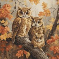 Luca-S Cross Stitch Kit The Owls Family, BU5045, Counted Cross Stitch Kit for Adults, Needlecraft an