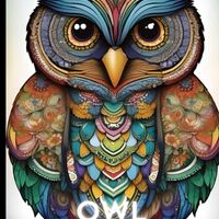 Owl Mandala Coloring Book: Intricate Designs for Relaxation and Creativity (Coloring Books for Adult