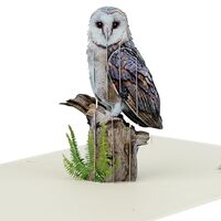 iGifts And Cards Majestic Owl 3D Pop-Up Greeting Card - 6"x8" Enchanting Forest Whispers G