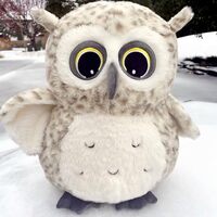 Ryttir 15.7 Inch Chubby Snow Big Owl Stuffed Animals Plush, Adventure Stuffed Owl Toy, Brave Boy