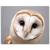 What 'Chu Lookin' At Close-up Barn Owl Poster - Intriguing Wildlife Art for Owl Enthusiast