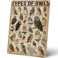 Homely Accents Types Of Owls Vintage Metal Signs, Educational Poster Tin Signs for Home Bathroom Cla