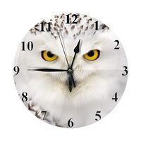 Snowy Owl Wall Clock - 9.84 Inch Round Silent Battery Operated Non Ticking Decorative Clock for Kids